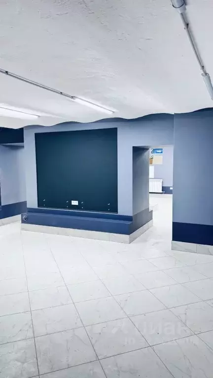 Помещение свободного назначения в Санкт-Петербург пер. Басков, 27 (95 ... - Фото 2