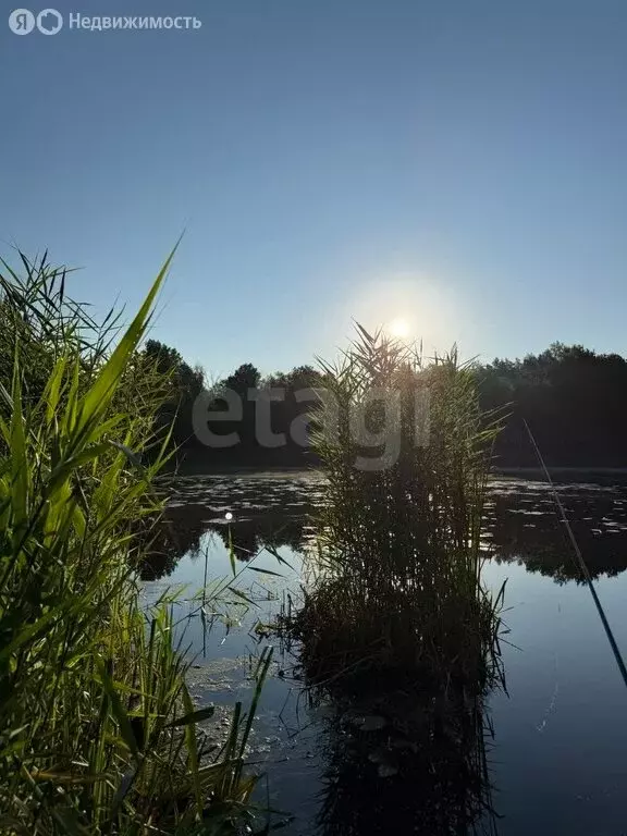 Участок в Калининград, ТСН Дунай (16.65 м) - Фото 2