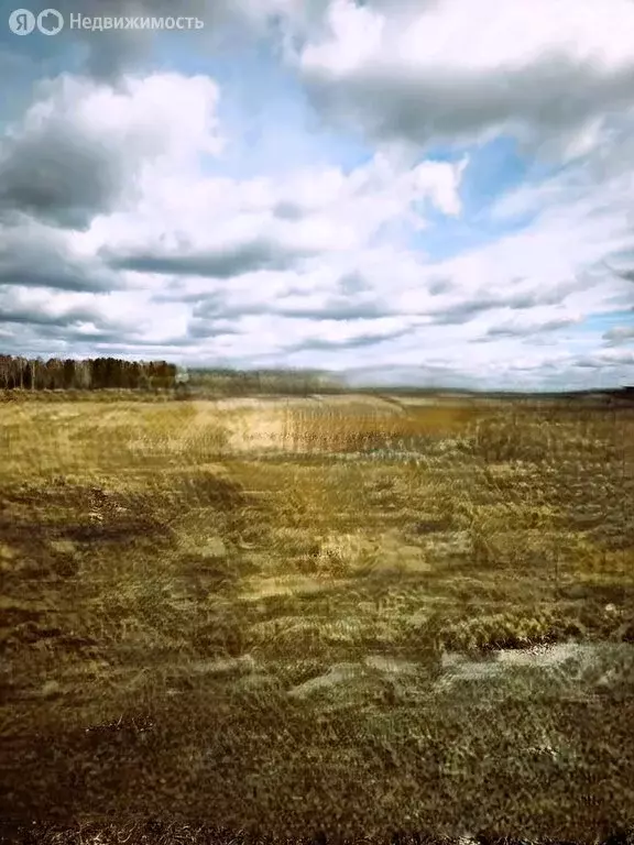 Участок в Красноярский край, Емельяновский муниципальный округ, ... - Фото 2