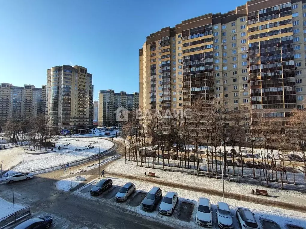 1-к кв. Воронежская область, Воронеж Троицкий кв-л, Олимпийский ... - Фото 1