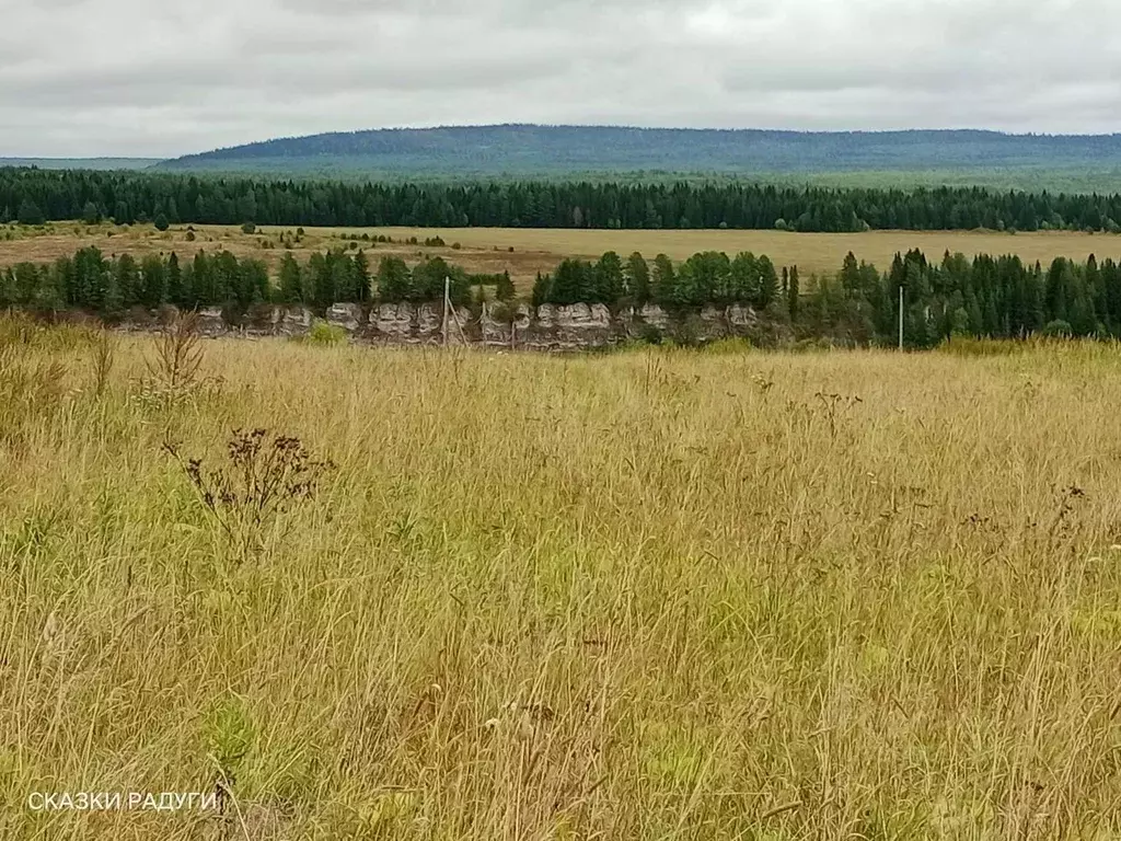 Участок в Свердловская область, Шалинский городской округ, с. Чусовое  ... - Фото 0