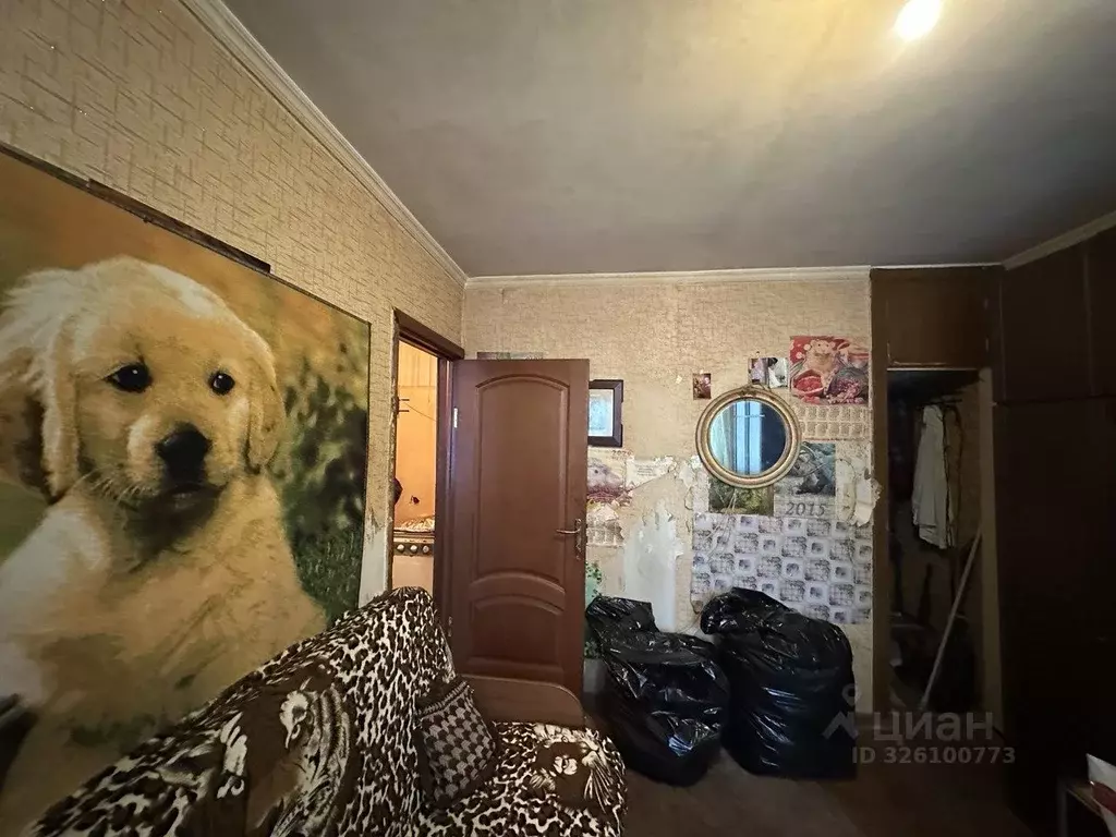 Комната Московская область, Балашиха ул. Карбышева, 13 (14.0 м) - Фото 2