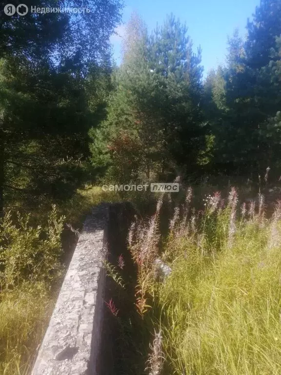 Участок в Владимирская область, Кольчугинский муниципальный округ, ... - Фото 2