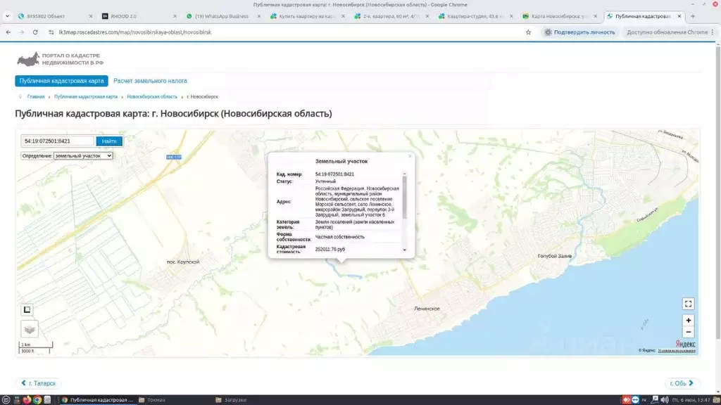 Участок в Новосибирская область, Новосибирский район, Морской ... - Фото 0