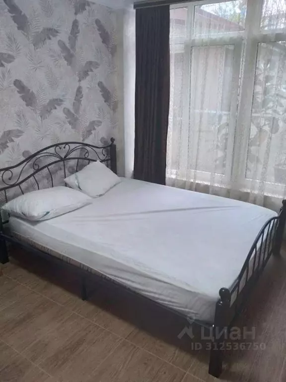 Студия Краснодарский край, Сочи ул. Ленина, 75 (25.0 м) - Фото 1