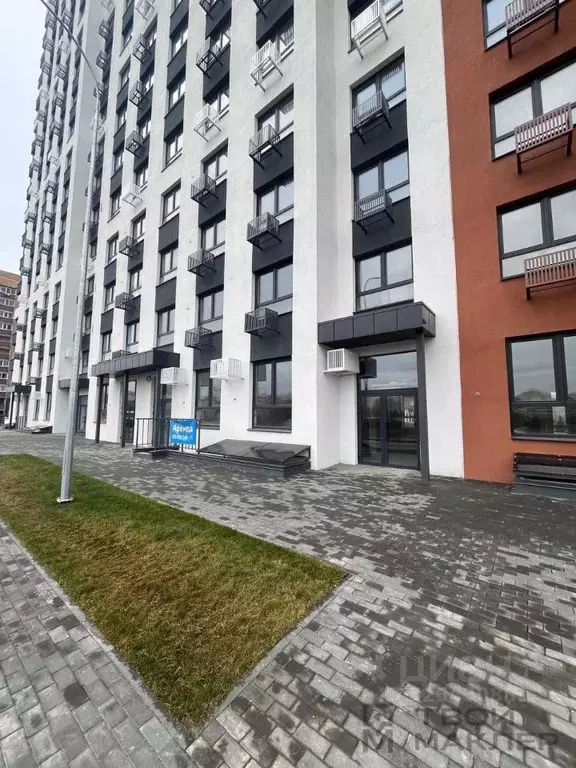 Торговая площадь в Пензенская область, Пенза ул. Бутузова, 5 (74 м) - Фото 2