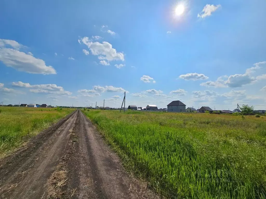 Участок в Омская область, Калачинск ул. 10-я Заовражная (12.0 сот.) - Фото 1
