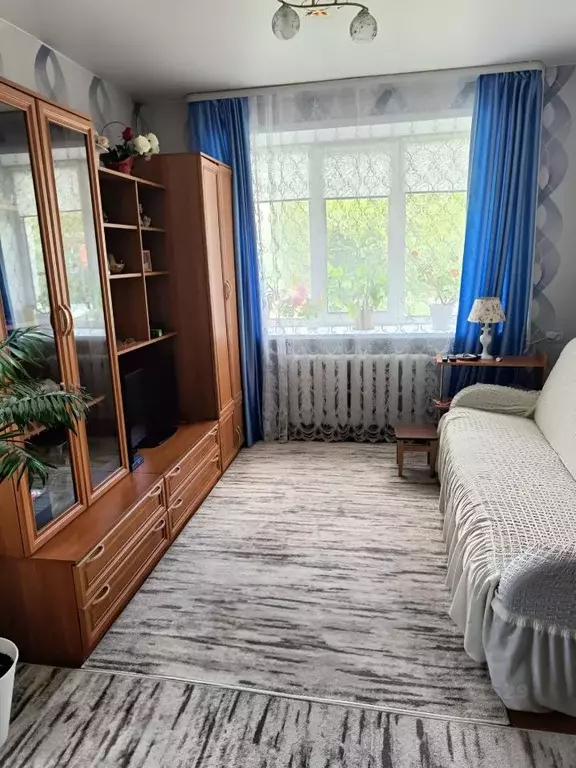 1-к кв. Омская область, Омск пос. Кордный, ул. 1-я Шинная, 59 (31.0 м) - Фото 2