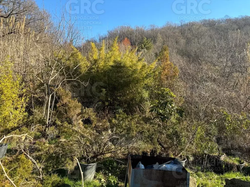 Участок в Краснодарский край, Сочи городской округ, с. Горное Лоо ул. ... - Фото 2