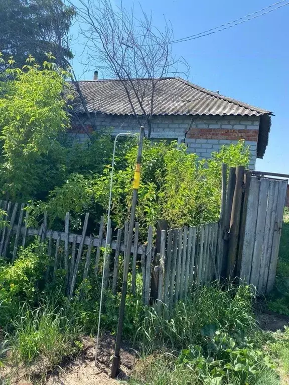 Дом в Омская область, Кормиловский район, с. Алексеевка  (76 м) - Фото 1