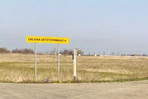 Офис в Краснодарский край, Ейский район, Александровское с/пос, с. ... - Фото 2