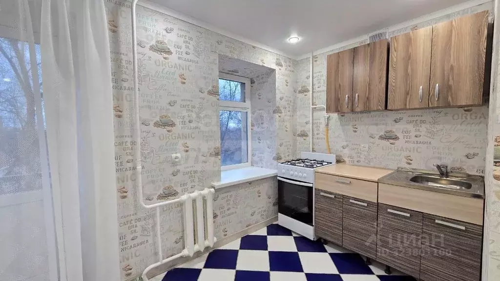 1-к кв. Оренбургская область, Оренбург Пролетарская ул., 310А (20.5 м) - Фото 1