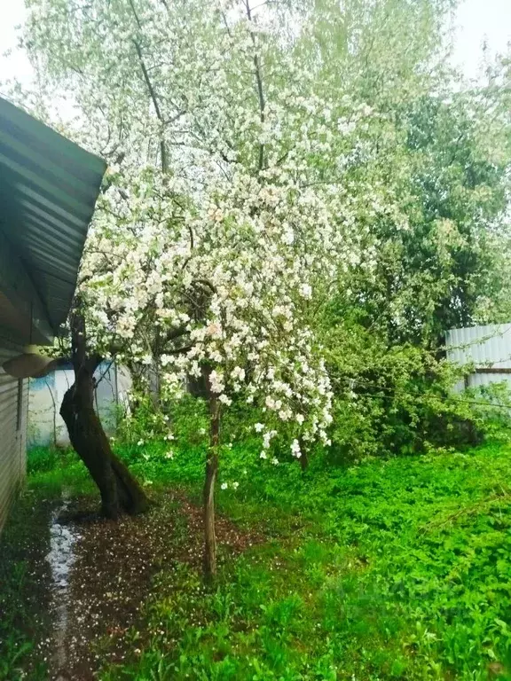 Дом в Калужская область, Калуга пер. Суворова, 36 (66 м) - Фото 0