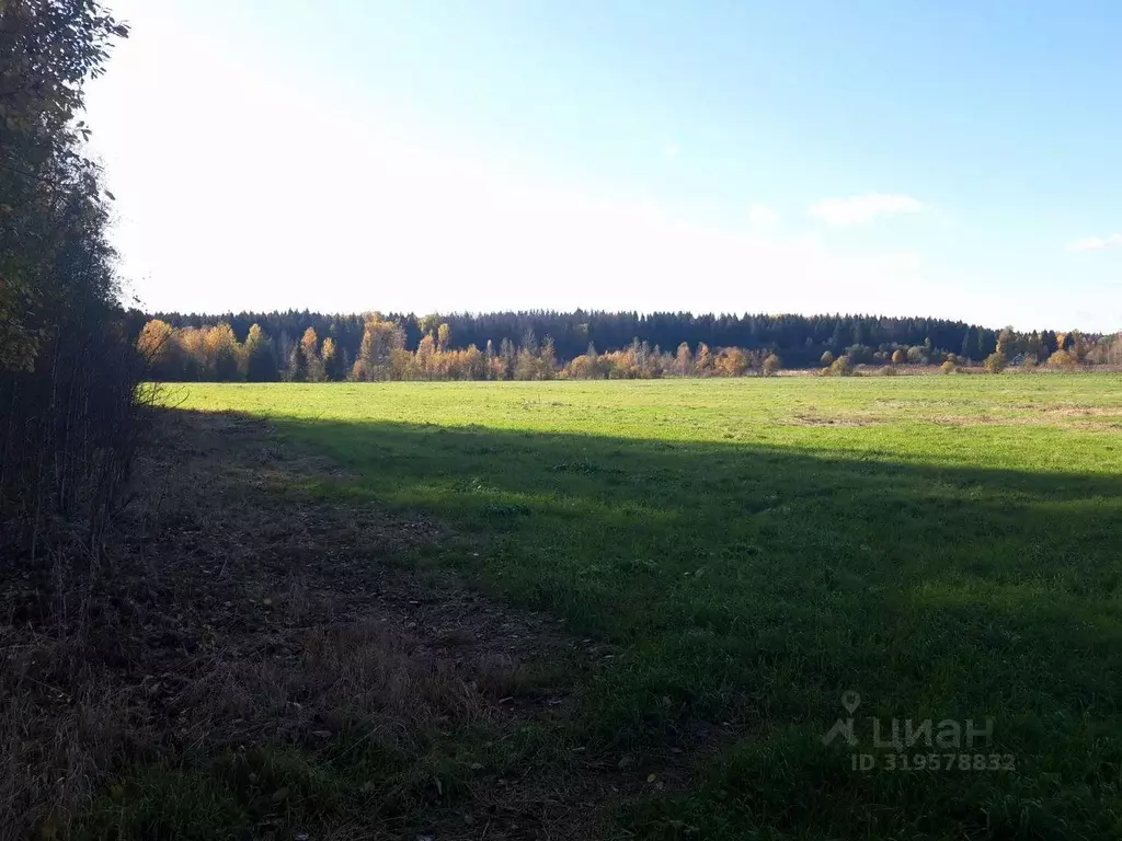 Участок в Ленинградская область, Выборгский район, Советское городское ... - Фото 1