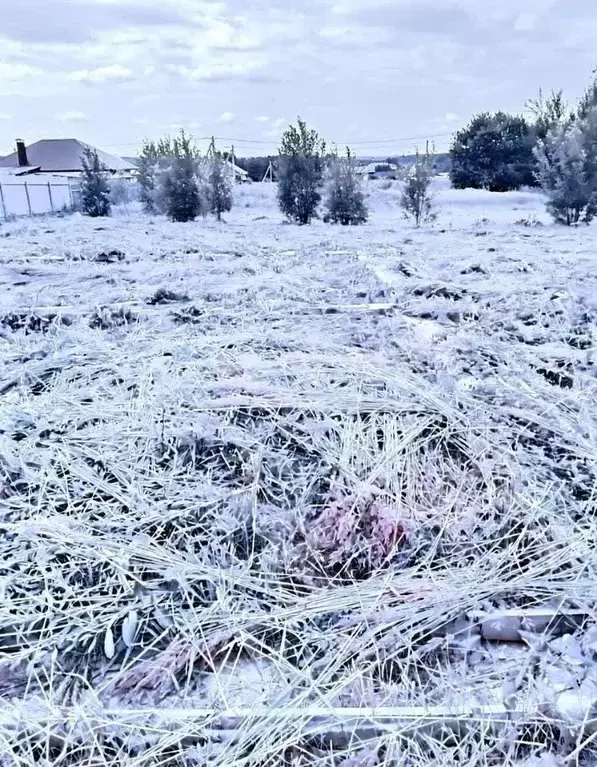 Участок в Удмуртия, Воткинский район, с. Июльское ул. Виноградная, 40 ... - Фото 2