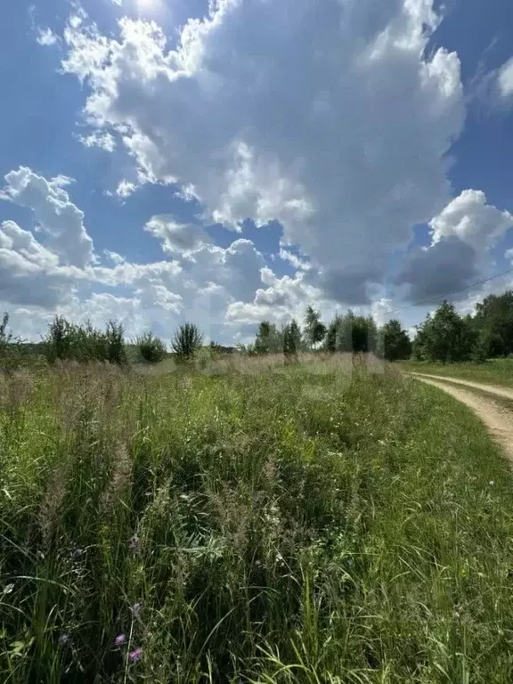 Участок в Калужская область, Жуковский муниципальный округ, Совхоз ... - Фото 1