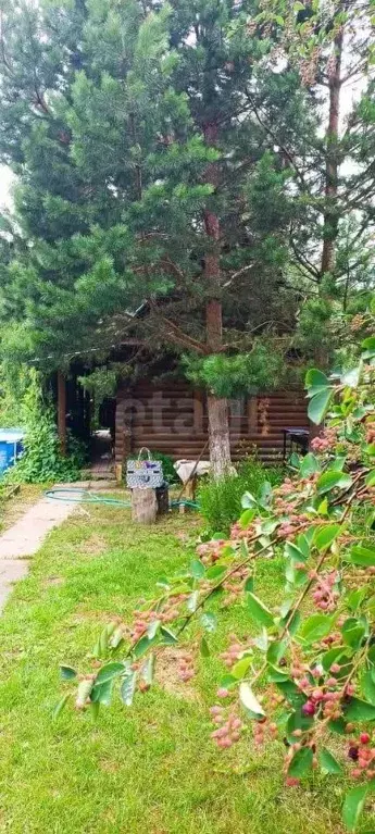 Участок в Новосибирская область, Новосибирск СОСН 7-й Ветеран тер., ... - Фото 1