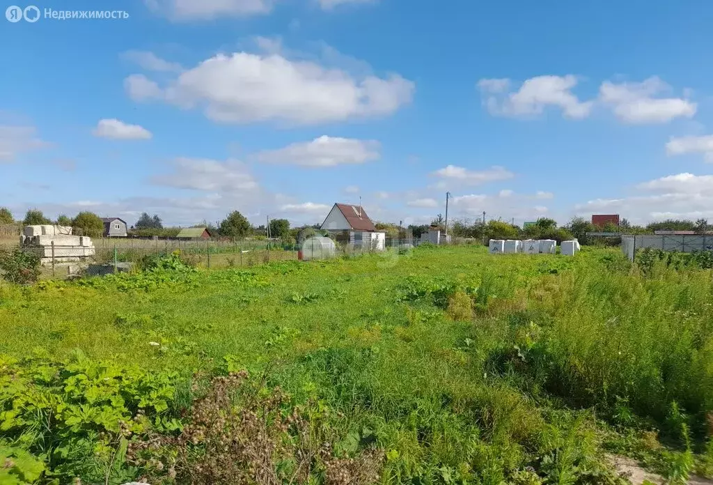 Участок в Псковский район, Завеличенская волость, деревня Родина (7 м) - Фото 0