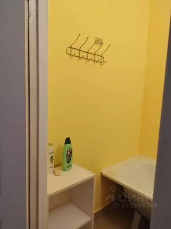 1-к кв. Кемеровская область, Кемерово ул. Дружбы, 29 (35.0 м) - Фото 2