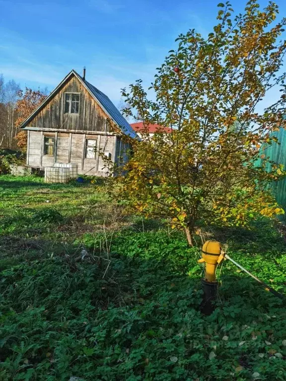 Участок в Ленинградская область, Всеволожский район, Колтушское ... - Фото 0