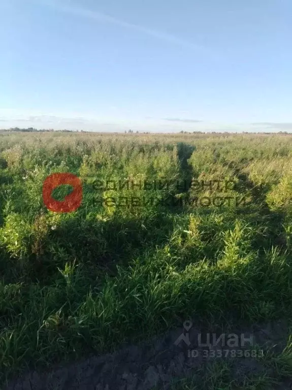 Участок в Тюменская область, Тюмень  (10.0 сот.) - Фото 2