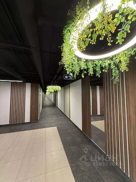 Офис в Омская область, Омск ул. Фрунзе, 1к4 (59 м) - Фото 0