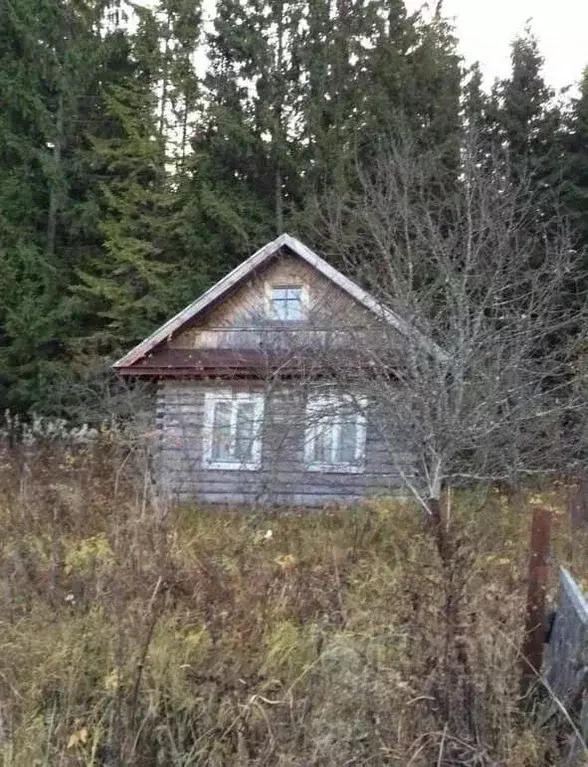 Участок в Новгородская область, Маловишерский муниципальный район, ... - Фото 1