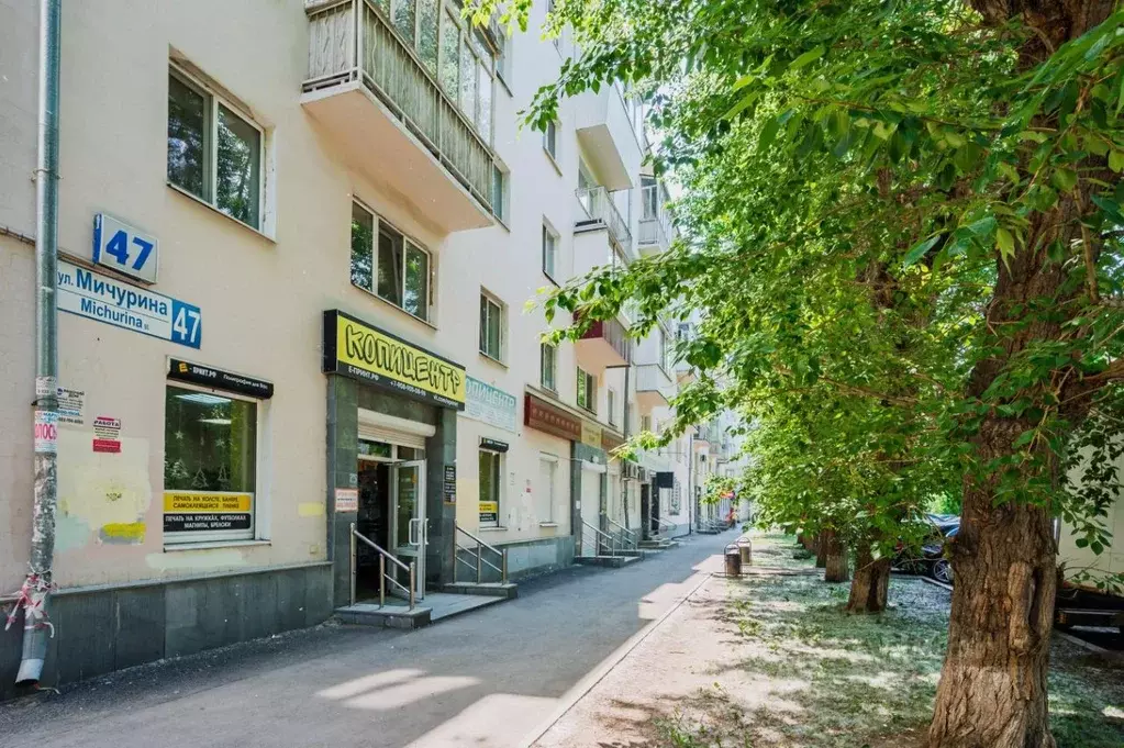 1-к кв. Свердловская область, Екатеринбург ул. Мичурина, 47 (30.0 м) - Фото 1