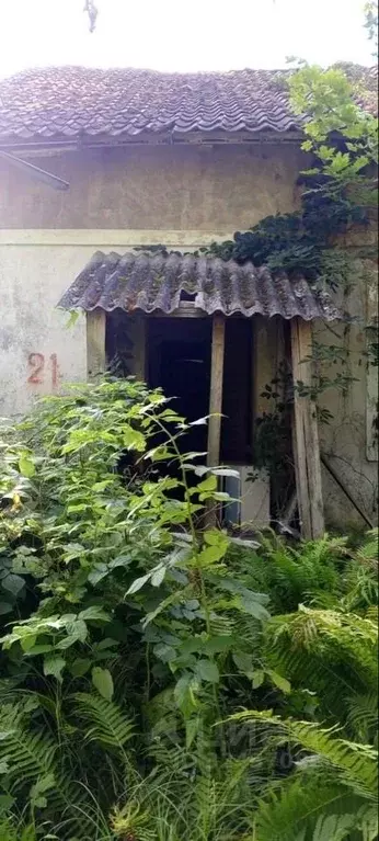 Помещение свободного назначения в Калининградская область, ... - Фото 1