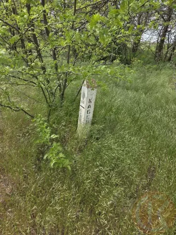 Участок в Крым, Сакский район, Митяевское с/пос, Химик-3 СНТ  (5.0 ... - Фото 1