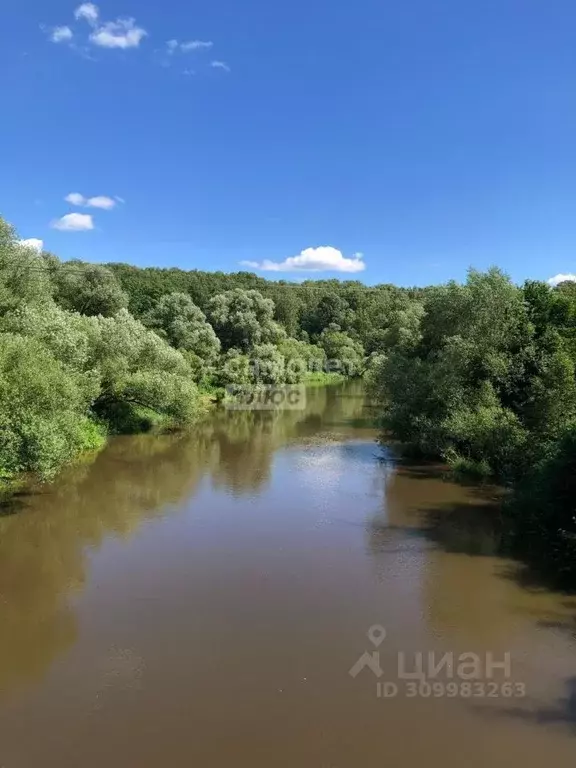 Участок в Московская область, Серпухов городской округ, д. ... - Фото 1