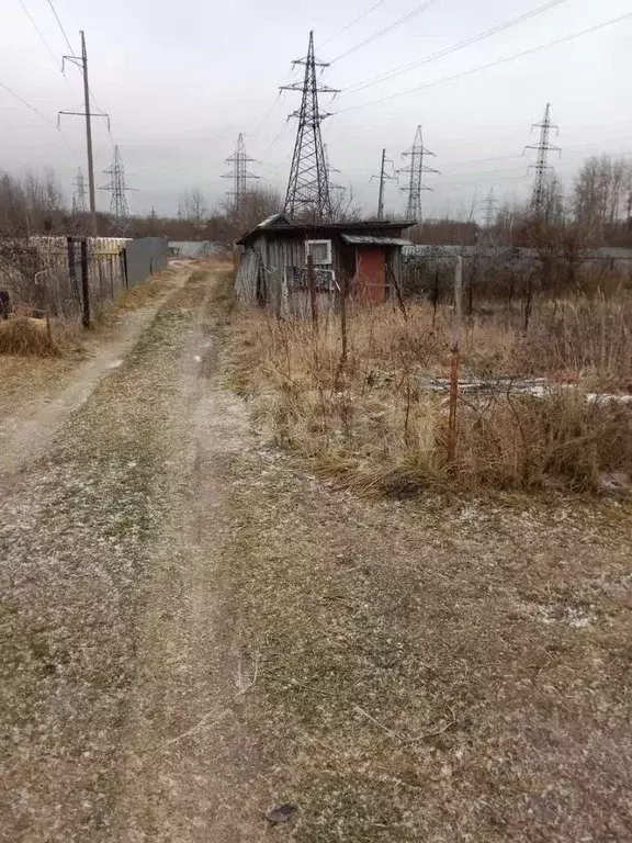 Участок в Вологодская область, Вологда Содема садоводческое ... - Фото 1