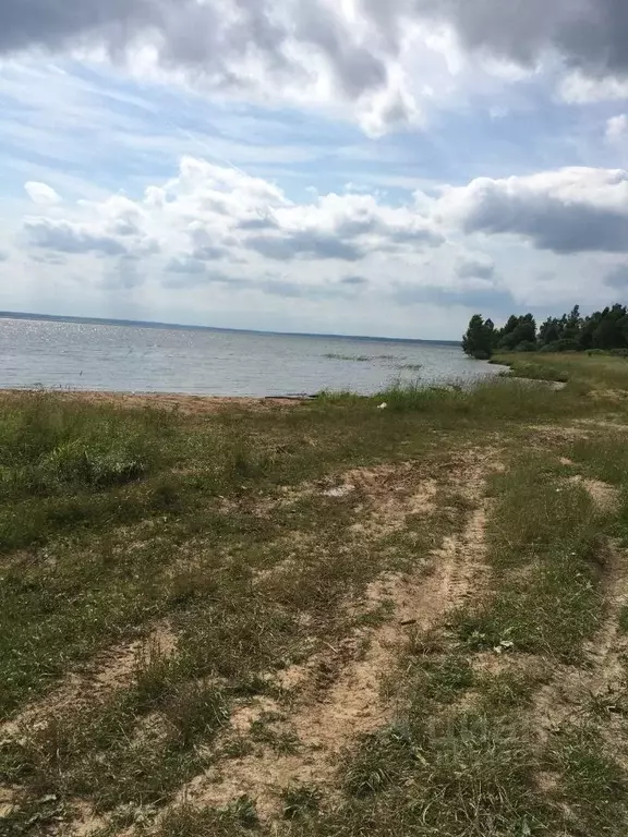 Участок в Смоленская область, Гагаринский район, д. Аржаники  (25.0 ... - Фото 0