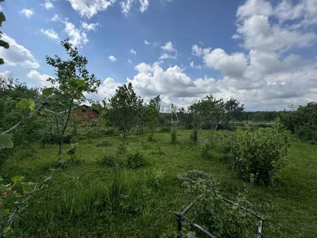 Участок в Московская область, Сергиево-Посадский городской округ, ... - Фото 2