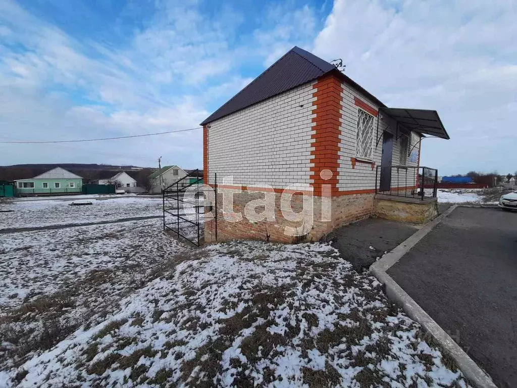 Торговая площадь в Белгородская область, Вейделевка рп ул. ... - Фото 2