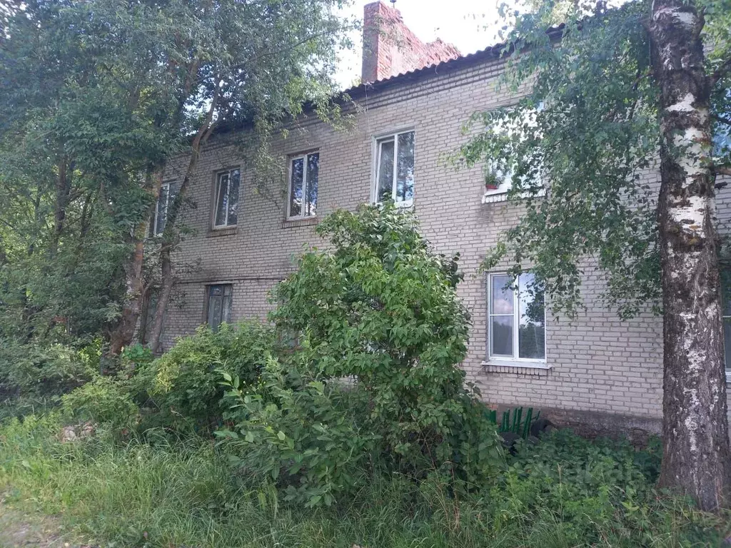 2-к кв. Ленинградская область, Гатчинский муниципальный округ, д. ... - Фото 2