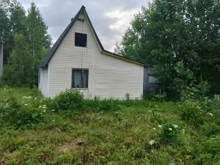 Участок в Ленинградская область, Гатчинский муниципальный округ, ... - Фото 1