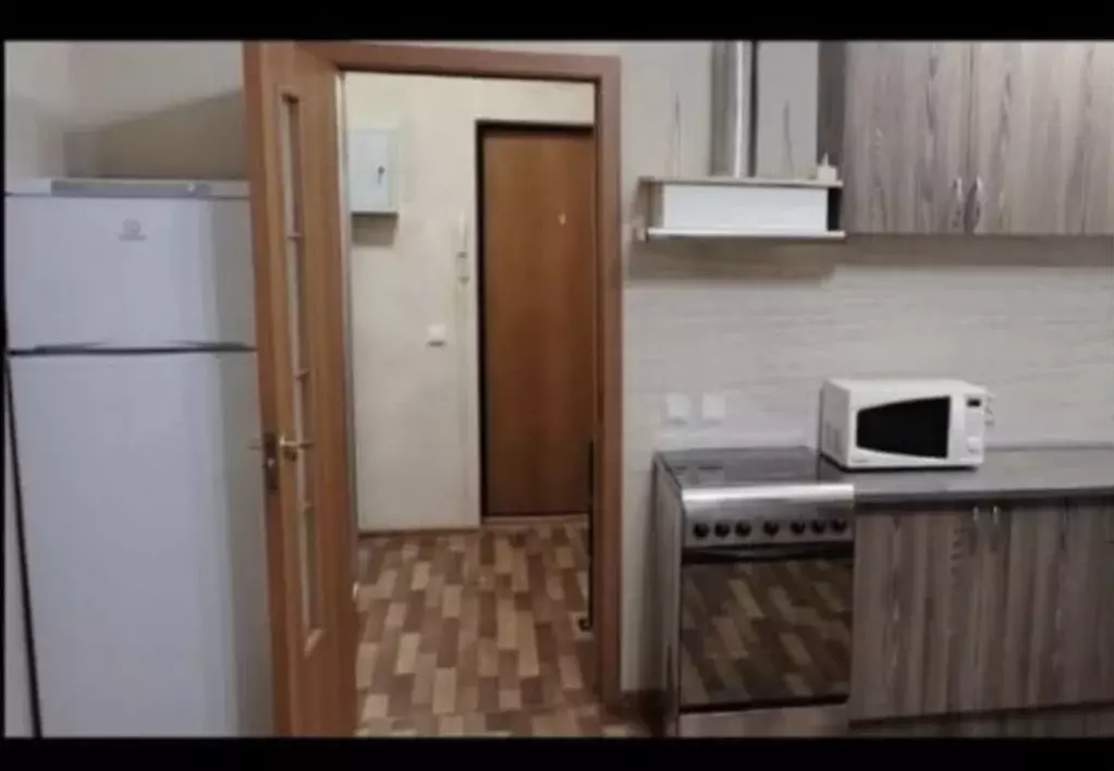 Студия Ленинградская область, Всеволожский район, д. Новое Девяткино ... - Фото 2