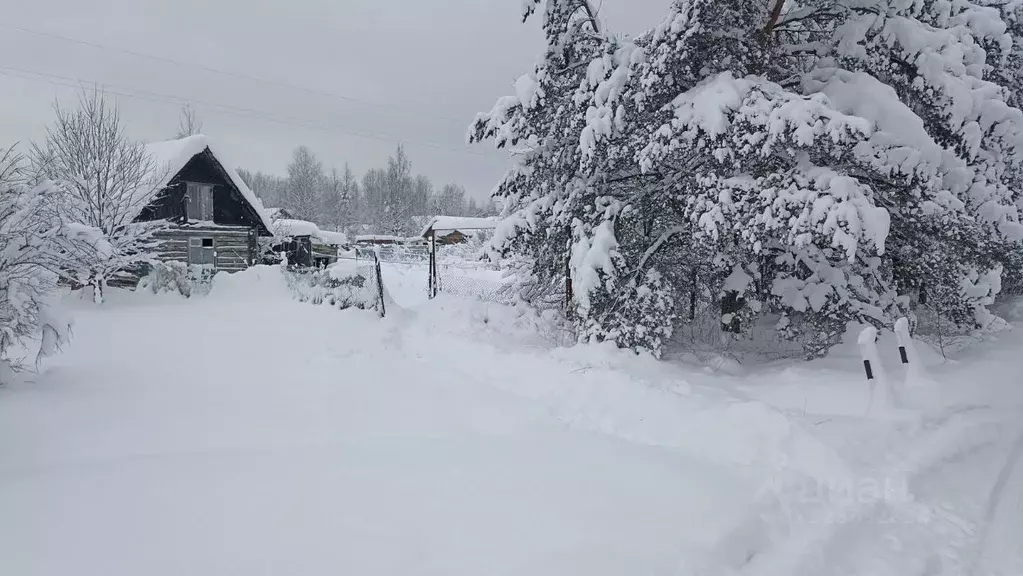 Участок в Ленинградская область, Кировский район, Мгинское городское ... - Фото 1