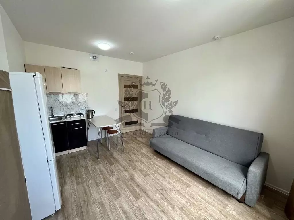 Студия Санкт-Петербург дор. Муринская, 25к2 (20.0 м) - Фото 2