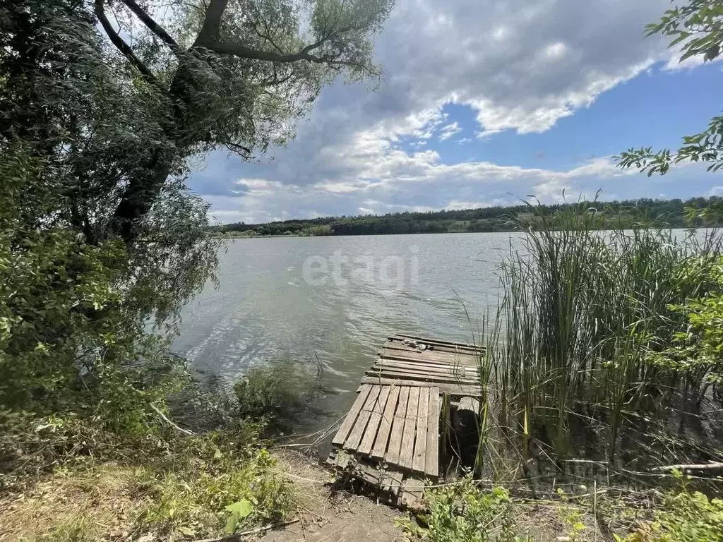 Дом в Белгородская область, Алексеевский муниципальный округ, с. ... - Фото 0