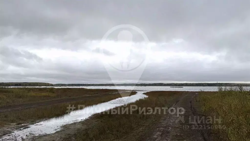 Участок в Рязанская область, Клепиковский район, Ненашкинское с/пос, ... - Фото 0