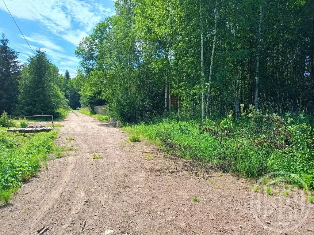 Участок в Ленинградская область, Выборгский район, Советское городское ... - Фото 1