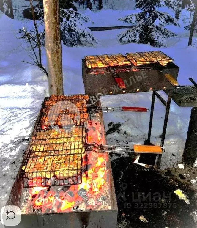 Участок в Пермский край, Краснокамский муниципальный округ, пос. ... - Фото 1