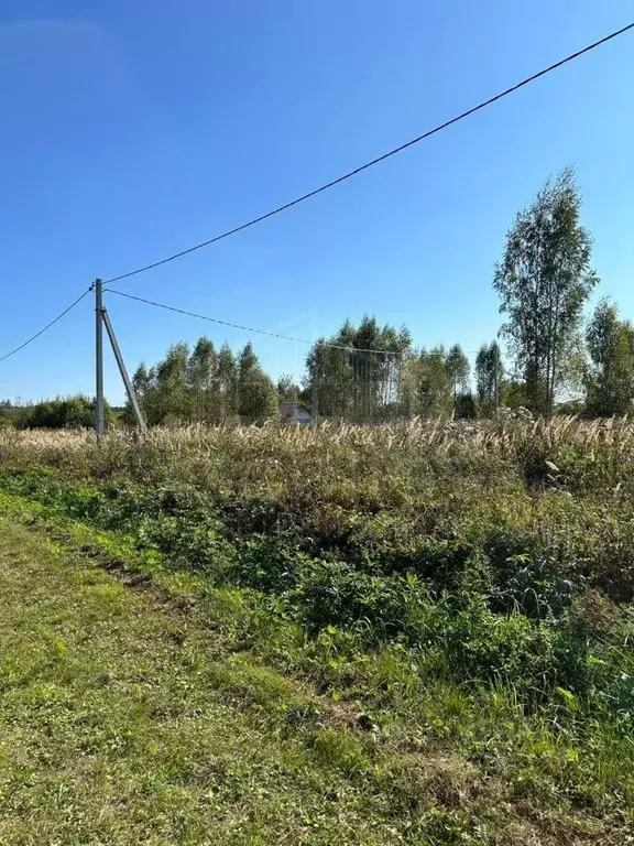 Участок в Владимирская область, Александровский район, Андреевское ... - Фото 1