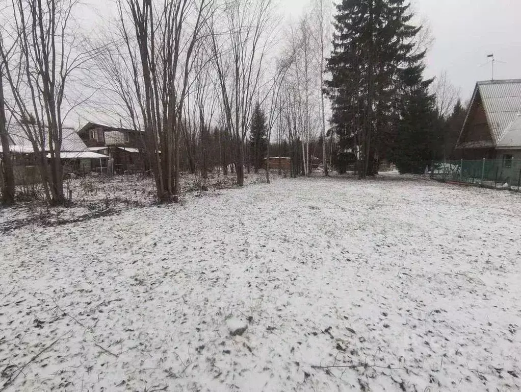 Участок в Пермский край, Пермский муниципальный округ, Чистые Ключи ... - Фото 2