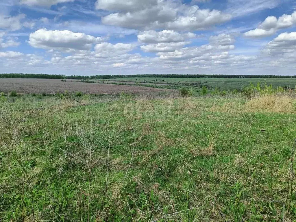 800 000 Руб., Участок в Воронежская область, Каширский район, Колодезянское  с/пос, ..., Купить земельный участок Колодезный, Каширский район, ID  объекта - 20007110276