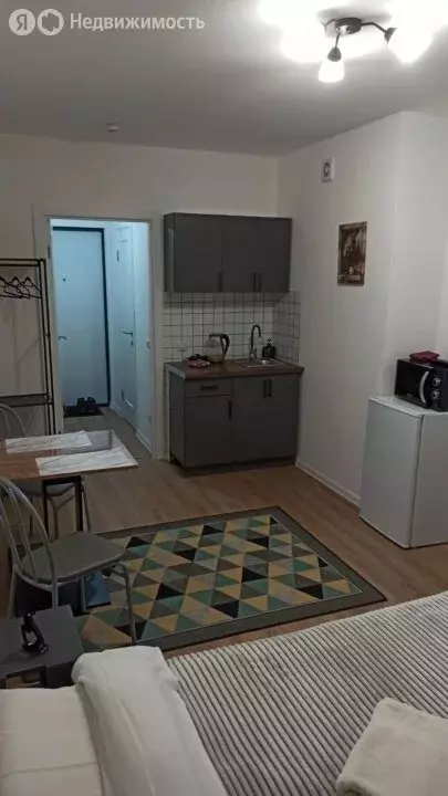 Квартира-студия: Томск, Алтайская улица, 76/1 (20 м) - Фото 1