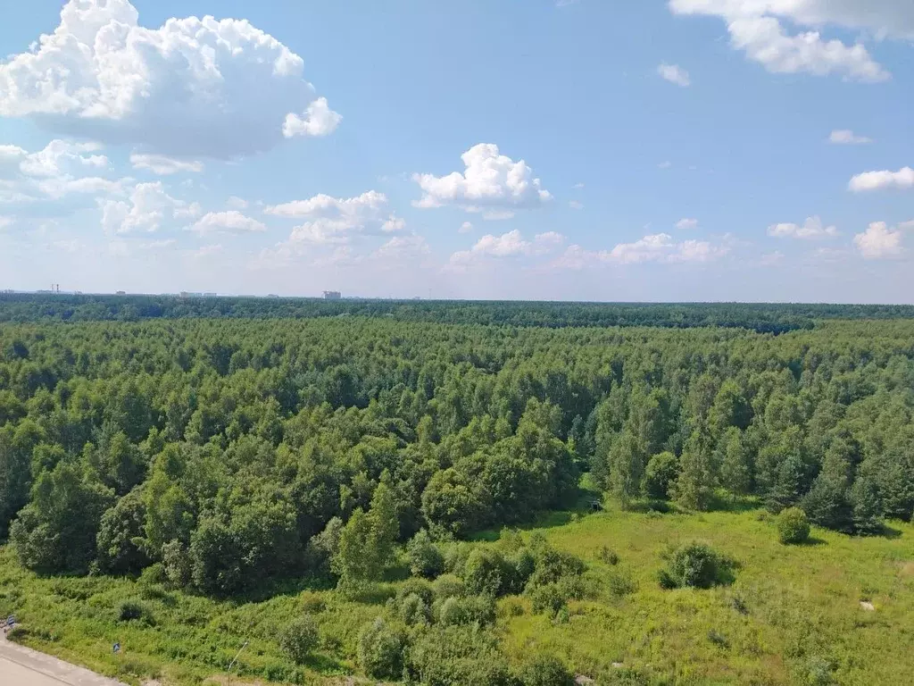 1-к кв. Московская область, Раменское ул. Семейная, 6 (33.0 м) - Фото 2