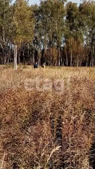 Участок в Тульская область, Тула муниципальное образование, с. Теплое  ... - Фото 0